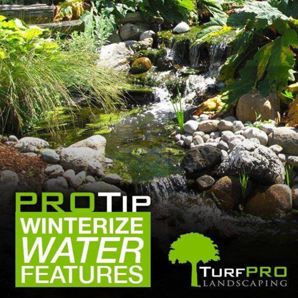 winterize water features