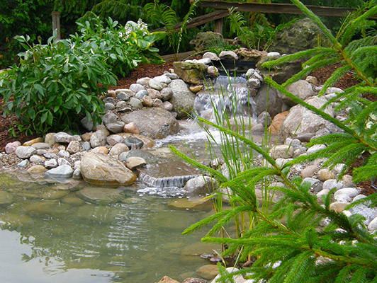 turf pro water features