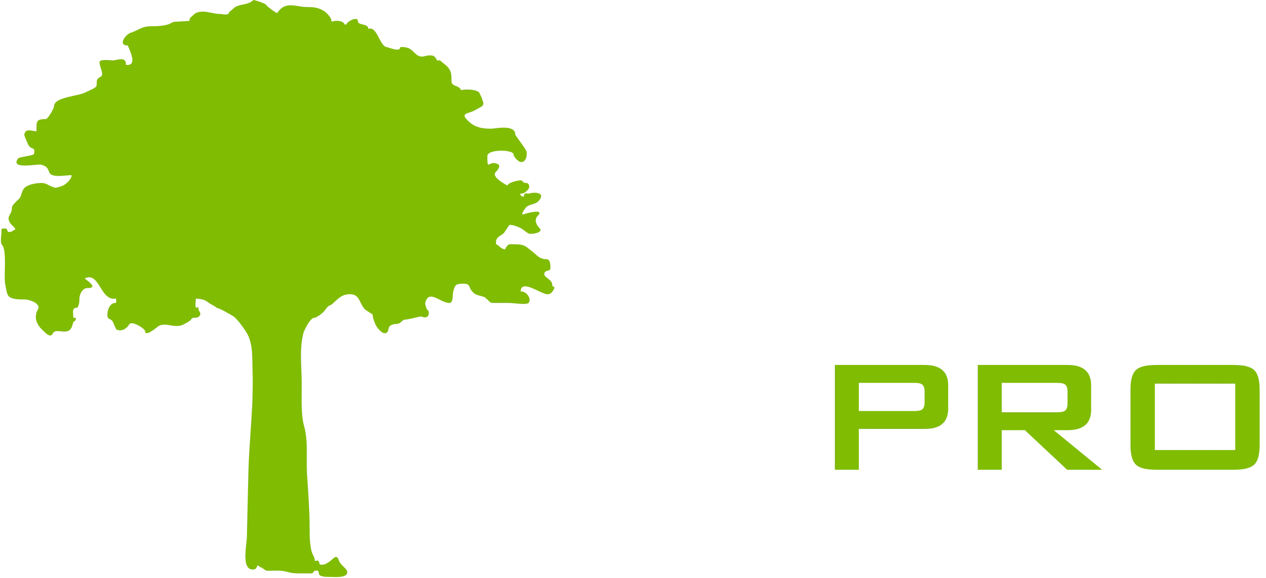 turf pro landscaping