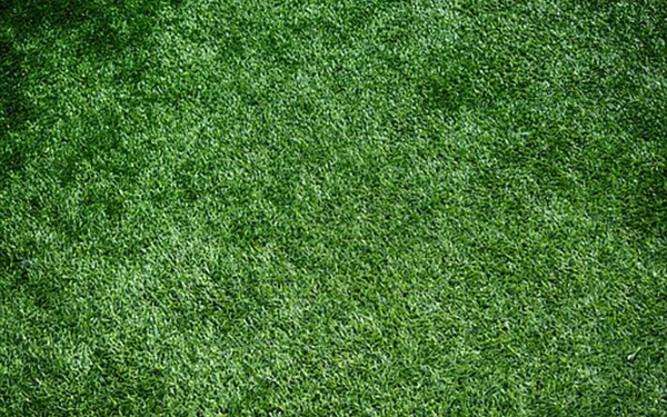 turf pro landscaping services